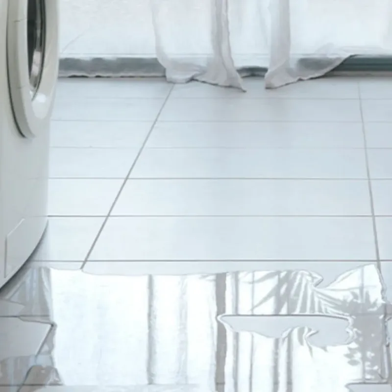 Appliance Leak Cleanup in Evergreen, CO