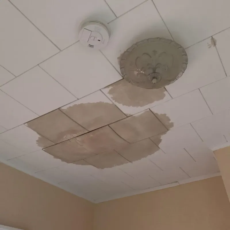 Ceiling Water Damage Repair in Evergreen, CO